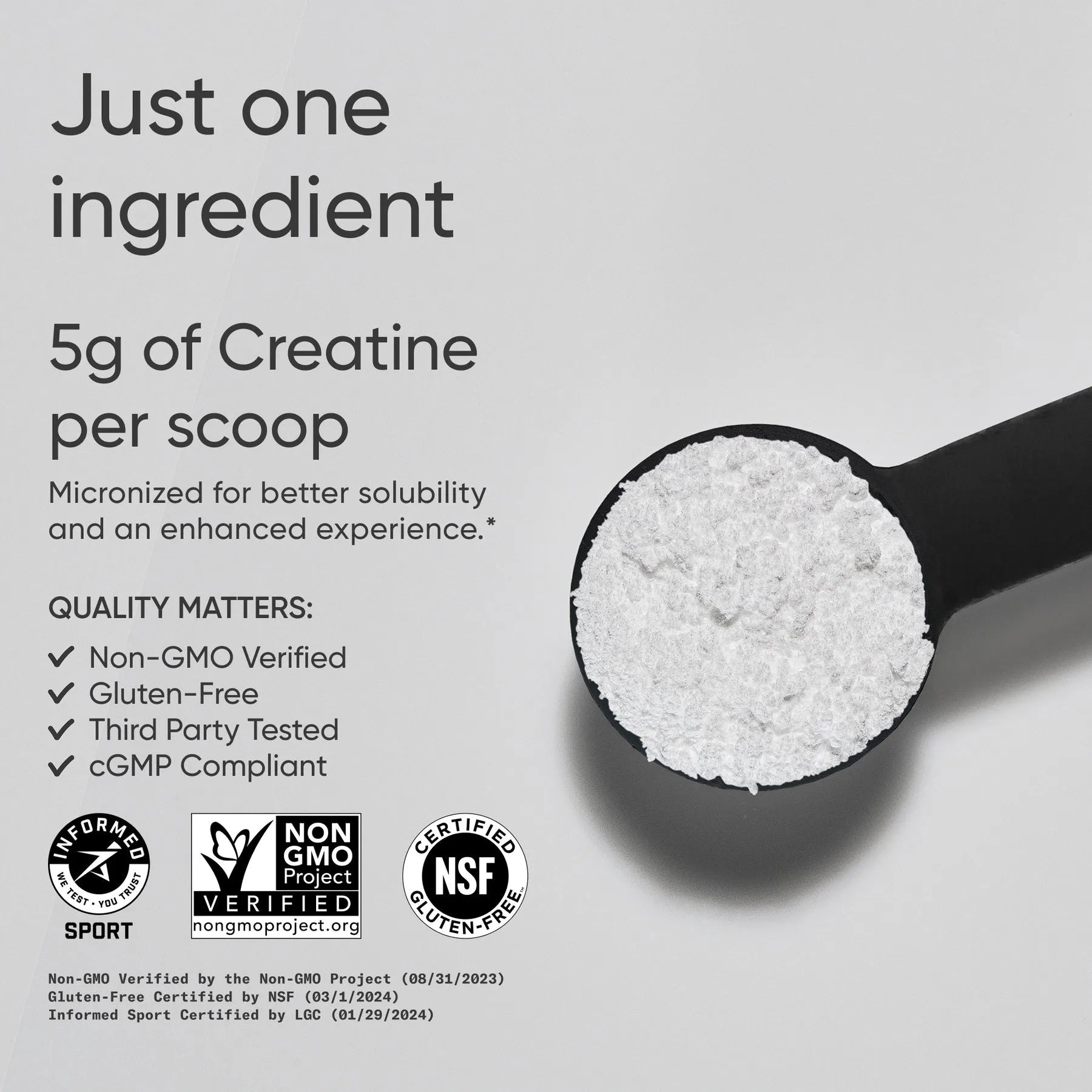 5 G MICRONIZED CREATINE | 10.58 OZ