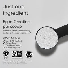 5 G MICRONIZED CREATINE | 10.58 OZ